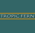 Tropic Fern